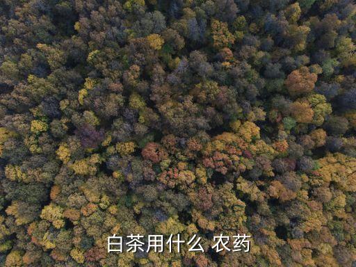 茶葉用什么農藥防治最好,打什么農藥茶葉早上市
