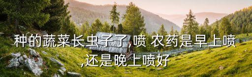 種的蔬菜長蟲子了,噴 農藥是早上噴,還是晚上噴好