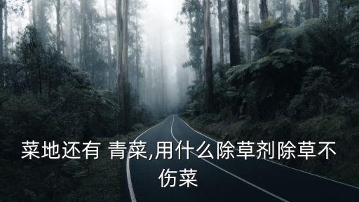 青菜應該打什么農藥好用,青菜用什么洗可以去農藥