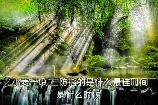 關(guān)于小麥三防打什么農(nóng)藥,現(xiàn)在小麥打什么農(nóng)藥