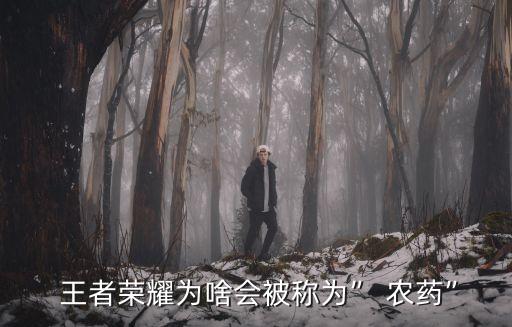 打王者農藥嗎是什么梗