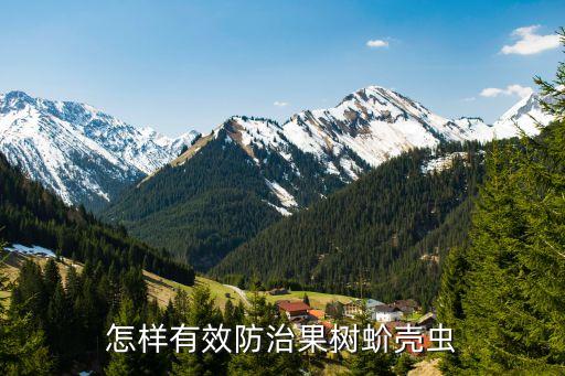 什么農藥能打死介殼蟲,介殼蟲用什么農藥最好