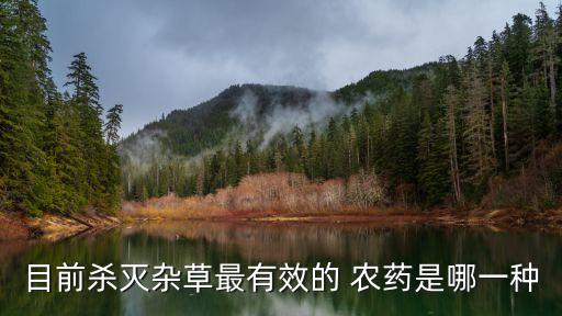 目前殺滅雜草最有效的 農藥是哪一種