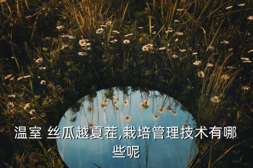 溫室 絲瓜越夏茬,栽培管理技術有哪些呢