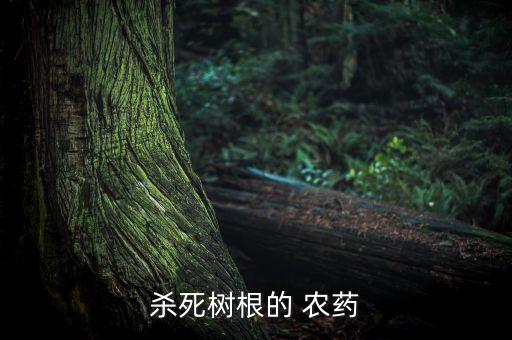 除掉槐樹根用什么農藥好,什么農藥能殺死槐樹