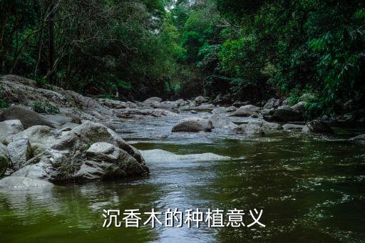 沉香噴什么農(nóng)藥最好看呢,噴農(nóng)藥什么時間效果最好