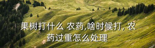  果樹打什么 農藥,啥時候打, 農藥過重怎么處理