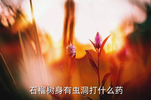 石榴鉆心蟲用什么農(nóng)藥,什么農(nóng)藥治鉆心蟲
