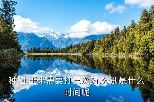 玉米種子上有什么農藥,農藥不會進入玉米種子是因為