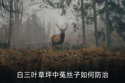 吐絲籽用什么農(nóng)藥能打死