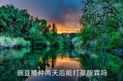 豌豆草用什么農(nóng)藥,什么農(nóng)藥能打死所有的草