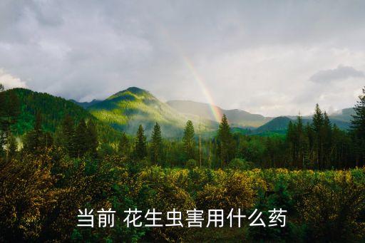 花生打什么農藥,花生要打什么農藥
