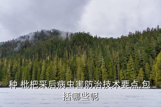 種 枇杷采后病蟲害防治技術要點,包括哪些呢