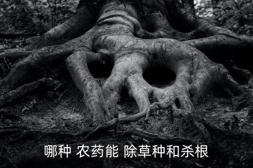 下雨過后打什么農(nóng)藥除草,蔬菜下雨多打什么農(nóng)藥