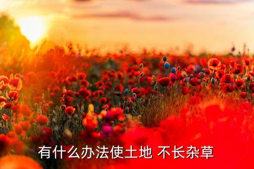 什么農(nóng)藥放地里不長(zhǎng)啥