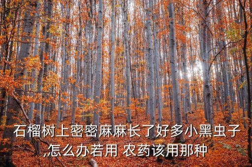  石榴樹上密密麻麻長了好多小黑蟲子,怎么辦若用 農藥該用那種