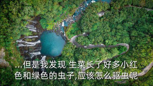 生菜長蟲用什么農藥,生菜打什么農藥