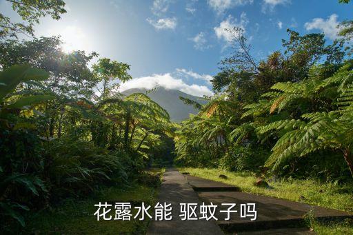 驅(qū)蚊的農(nóng)藥叫什么,驅(qū)蚊綠色瓶叫什么