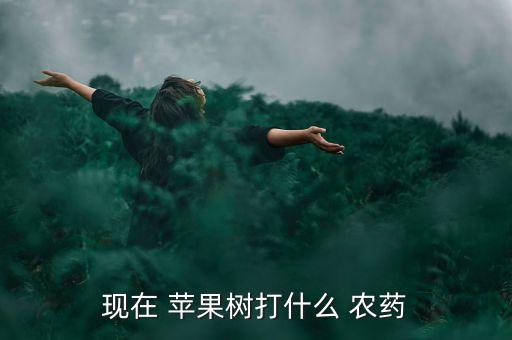 現(xiàn)在 蘋果樹打什么 農(nóng)藥