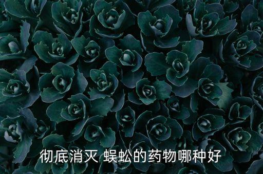 徹底消滅 蜈蚣的藥物哪種好