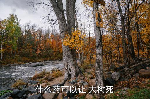 大樹用什么農藥能搞死它,有沒有什么農藥能把大樹打死