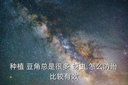 種植 豆角總是很多 蚜蟲,怎么防治比較有效