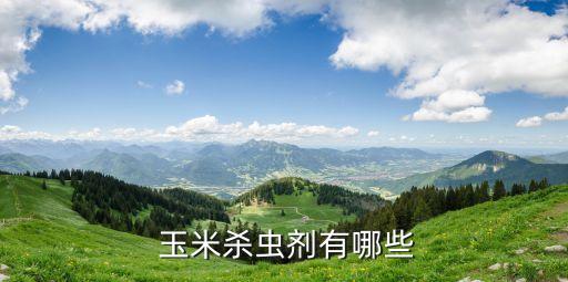 玉米打蟲子用什么農藥,玉米一般打什么農藥