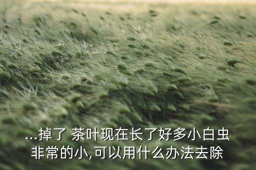 茶葉飛蟲用什么農藥,茶葉現在打什么農藥最好