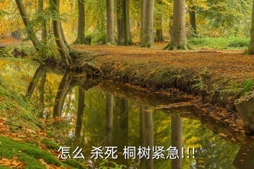 用什么農藥殺死桐樹最好