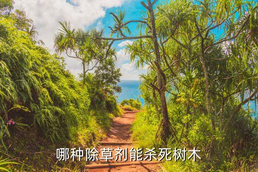 什么農藥殺草不傷樹皮子,殺節節草用什么農藥