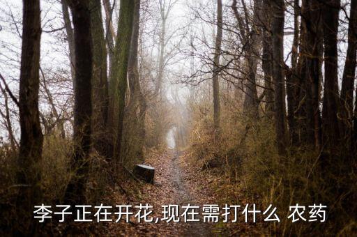  李子正在開花,現在需打什么 農藥