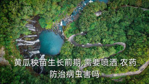 種植黃瓜需要用什么農藥,黃瓜種植管理技術