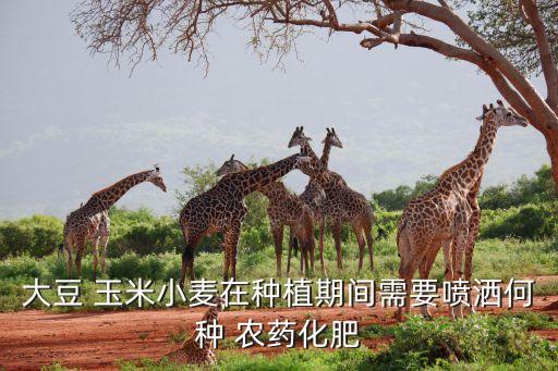 大豆 玉米小麥在種植期間需要噴灑何種 農(nóng)藥化肥
