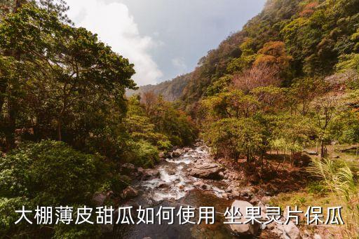 什么農藥可提高瓜類坐果,瓜類不能用什么農藥
