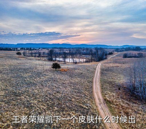  王者榮耀凱下一個(gè)皮膚什么時(shí)候出