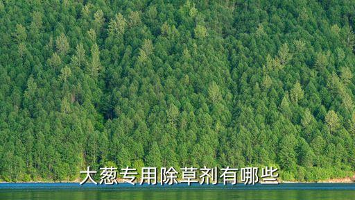 大蔥打什么農藥啊能吃了,大蔥怎么做最好吃