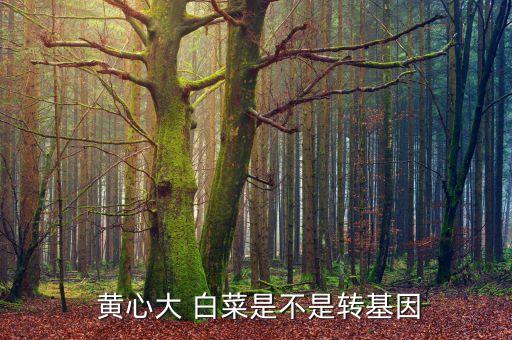 白菜上有蟲(chóng)用什么農(nóng)藥效果好,黃心白菜用什么農(nóng)藥