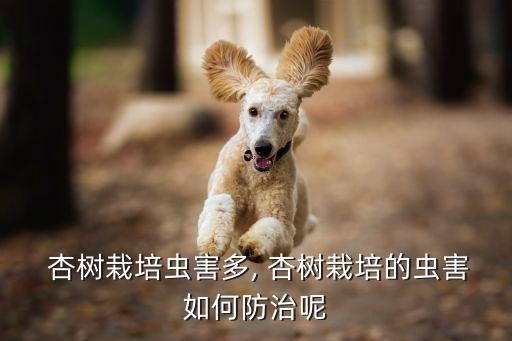 杏樹灌根農藥為什么沒死