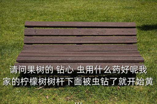 請問果樹的 鉆心 蟲用什么藥好呢我家的檸檬樹樹桿下面被蟲鉆了就開始黃...