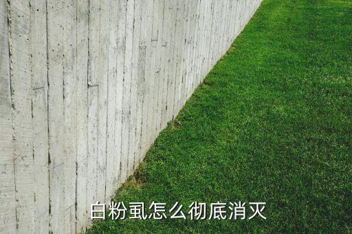 不用農藥殺死白粉虱,白粉虱要用什么農藥殺死