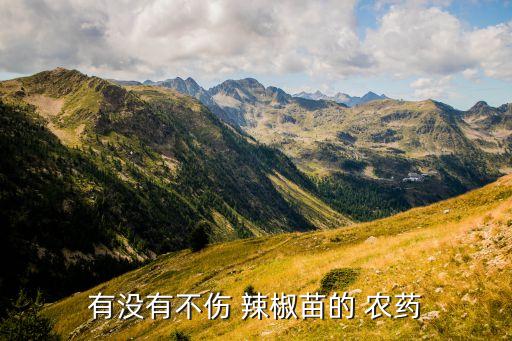 辣椒苗打什么農藥,辣椒殺蟲用什么農藥