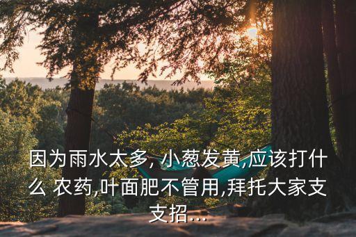 因為雨水太多, 小蔥發黃,應該打什么 農藥,葉面肥不管用,拜托大家支支招...