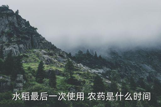 水稻這次什么時候打農藥