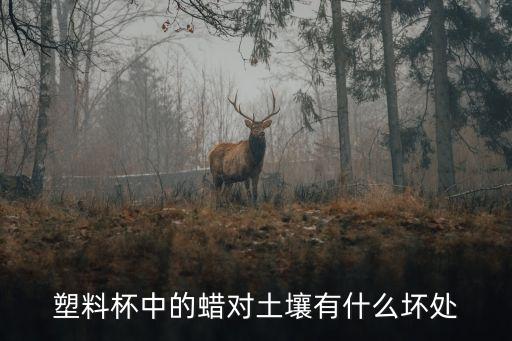 塑料杯中的蠟對土壤有什么壞處