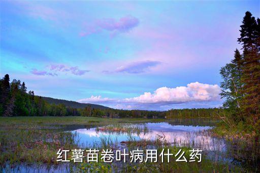紅薯苗卷葉病用什么藥