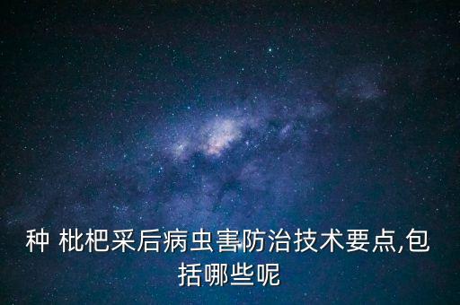 枇杷果實病害打什么農藥,枇杷的果實被譽為什么