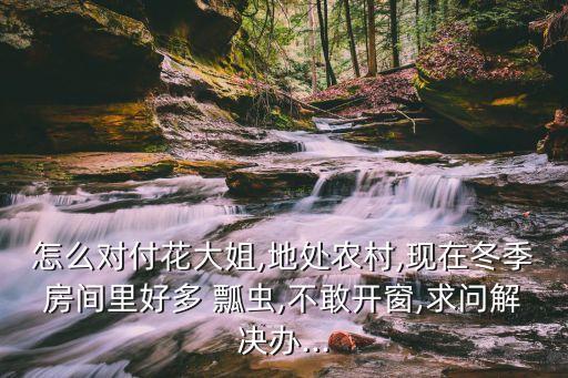 怎么對付花大姐,地處農村,現在冬季房間里好多 瓢蟲,不敢開窗,求問解決辦...
