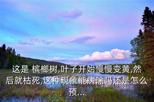 這是 檳榔樹,葉子開始慢慢變黃,然后就枯死,這種現象能病除嗎還是怎么預...