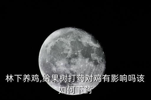 林下養雞,給果樹打藥對雞有影響嗎該如何下藥
