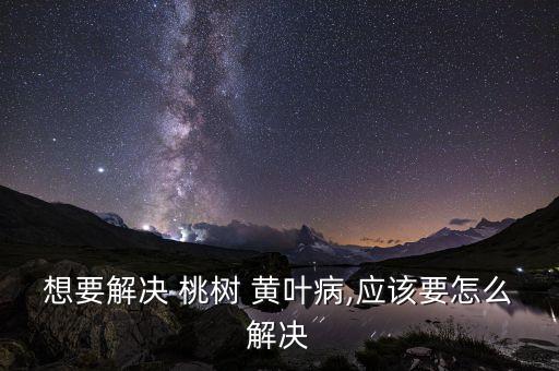 桃樹用什么農藥治黃葉病,桃樹現在該打什么農藥